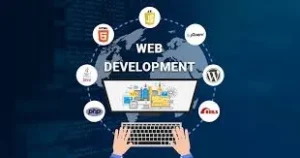 Top Web Development